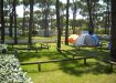 Camping Waikiki  
