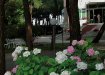 Hotel Beau Rivage Pineta